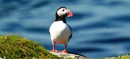 Seaside Cottage Hot tub & Games Room