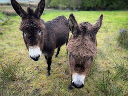Glenbeigh Holiday Cottage - Tigin Mamo
