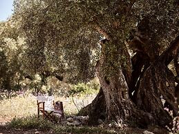 Dounias Village Home