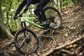 Kokomo Inn - Tropical Riverfront B&B