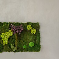 Akrotiri Olympus Luxury Suites