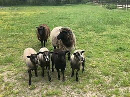 Beautiful 1-bed Apartment in Wareham,dorset