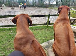 Beautiful 1-bed Apartment in Wareham,dorset