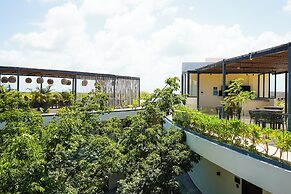 Mistiq Gardens