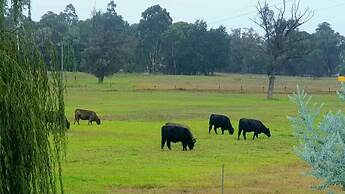 Blackwood Valley Suites