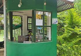 JUNGLE PARADISE FARM AND GUEST HOUSE