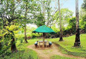 JUNGLE PARADISE FARM AND GUEST HOUSE