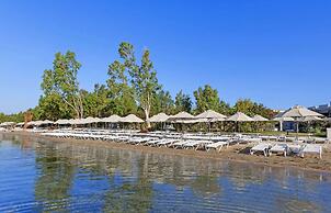 Halal Paradise Didim