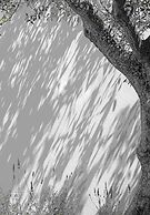 CUBIC Mykonos Seafront Design Suites