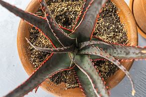 El Descanso in Meyer Park - Heated Pool