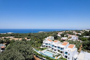 Coconut Palm Paradise