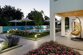 Coconut Palm Paradise