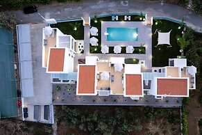 Coconut Palm Paradise