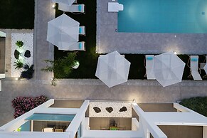 Coconut Palm Paradise