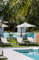 Coconut Palm Paradise