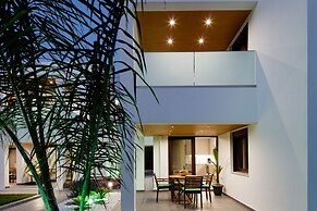 Coconut Palm Paradise