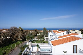 Coconut Palm Paradise