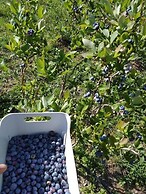 AGRITURISMO SAN GALLO