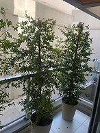 Monoambiente elegante en Salta