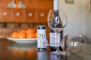 TD Trulli Albapetra Pool Olive Trees