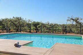 TD Trulli Albapetra Pool Olive Trees