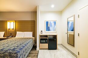 Palace Inn Blue IAH East