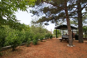Phaedrus Living Forest Villa Chantara