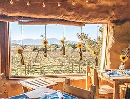 Ecovino Valle de Guadalupe