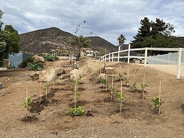 Ecovino Valle de Guadalupe