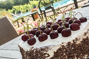 VANDENBELD Wines B&B