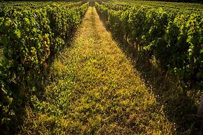 VANDENBELD Wines B&B