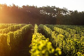 VANDENBELD Wines B&B