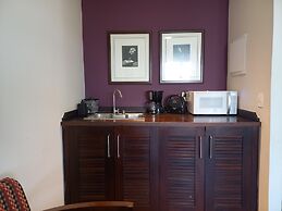 QSA - Anora Spaces - Metropolis Alphaville