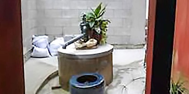 warayunso matsutakenokominka