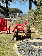 Sattler Haus Rr 464 2 Bedroom Home by RedAwning