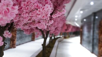 Sarot Thermal Palace Tatil Koyu - Halal Hotel