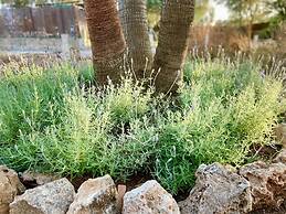 Finca Sa Canova Agroturismo