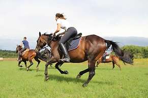 Villa Ovis in Peresiji