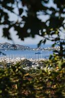 Birdcage 33 Hotel - Adult Only