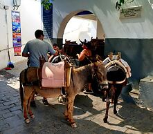 Fully Equipped House Nearby the Beach