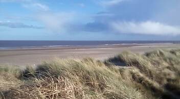 Birdsong Lodge - Peaceful - dog Friendly