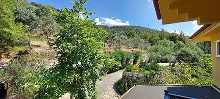 Malikane Luxury Resort