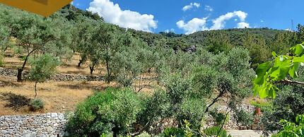 Malikane Luxury Resort