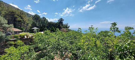 Malikane Luxury Resort