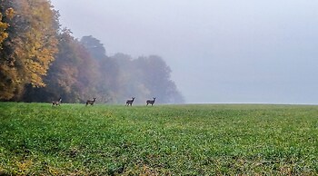Domaine du Val Sauvage