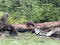 Historic Hotel Bayview