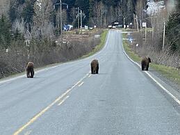 Historic Hotel Bayview