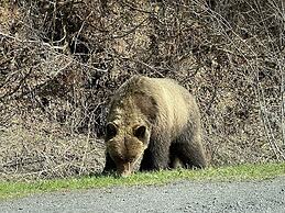Historic Hotel Bayview