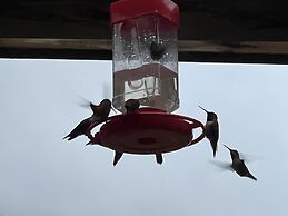 Historic Hotel Bayview