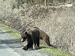 Historic Hotel Bayview